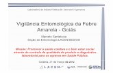 Vigilância Entomológica da Febre Amarela - Goiás · -Equipe mínima para cada coleta 03 pessoas (bom 05): motorista, capturador de copa, capturador de solo, ... -Suprimento para