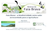 Faia Brava - a biodiversidade como valor acrescentado para ... · Conservar, valorizar, conhecer e divulgar o património natural do Nordeste de Portugal, pela via da sustentabilidade