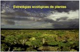 Estratégias ecológicas de plantas · funcionais em uma comunidade . ... nicho das espécies. ... relações filogenéticas entre as espécies e avaliar uma serie de