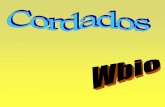 Filo Cordadoswbio.com.br/wp-content/uploads/2016/08/Aula-Cordados-completa-Wbio... · Notocorda apenas nas larvas e restrita à cauda. Apresentam um revestimento de um polissacarídeo