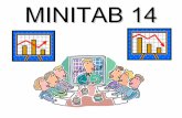 MINITAB 14 - Faculdade de Computaçãobacala/QS/introducao_MINITAB.pdf · Muda o tipo de dados, alterando colunas de texto para numérico etc. Importa dados Combina duas ou mais colunas