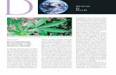 Descriminalização da maconha: o que muda no consumocienciaecultura.bvs.br/pdf/cic/v69n4/v69n4a09.pdf · 2018-02-06 · O processo de descriminalização e/ ... para o uso de drogas