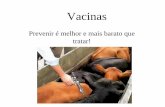 Slide sem título - UFRGS · Produção de Produtos para a Saúde Animal no Brasil • Segundo o Sindicato Nacional da Indústria de Produtos para a Saúde Animal (Sindan), o faturamento