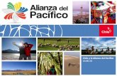 Chile y la Alianza del Pacífico 13.06 - camaradelpacifico.orgn/items/memorias-como... · En 2010 se transformó en el primer país Sudamericano en formar parte de la Organización
