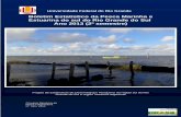 Boletim Estatístico da Pesca Marinha e Estuarina do sul do ... furg 2013-2.pdf · produção e facilidade de acesso. Em 2013, após um ano de aprendizado em campo, o projeto de monitoramento