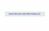 GESTÃO DO SETOR PÚBLICO - fsanet.com.br · publica, tem o direito de que essa administração seja eficiente, ou seja, tem o direito de exigir um retorno (segurança, serviços
