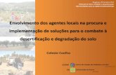 Envolvimento dos agentes locais na procura e ...esa.ipb.pt/pscdrt/images/pdf/Celeste_Coelho_UAveiro.pdf · Universidade de Aveiro UA CESAM Centro de Estudos do Ambiente e do Mar www.