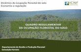 Dinâmica da ocupação florestal do solo Economia e ... regulamentar... · De âmbito nacional, define os princípios e objetivos da política florestal nacional Sistema de Planeamento