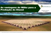 As vantagens do Milho para a Produção do Etanol · MAPA DE DEMANDA DE MADEIRA NA AGRICULTURA (mil m³) ... • No caso, da adoção de usinas de etanol a base de cereais (FLEX ou