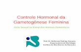 Controle Hormonal da Gametogênese Feminina · Ciclo Sexual ou Estral dos Animais Domésticos ... Ciclos Sexuais / Ciclos Estrais • Inicia-se na puberdade – Aumento na secreção