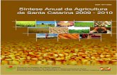 Empresa de Pesquisa Agropecuária e Extensão Rural de ...docweb.epagri.sc.gov.br/website_cepa/publicacoes/sintese_2010.pdf · Mudanças no espaço rural de Santa Catarina ... a classificação