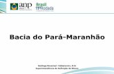 Bacia do Pará-Maranhão - rodadas.anp.gov.brrodadas.anp.gov.br/arquivos/Round11/Seminarios_r11/tec_ambiental/... · 200 100 M.a. Tempo Geológico MESOZÓICO CENOZÓICO Elementos