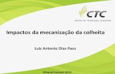 Impactos da mecanização da colheitaedicao2013.ethanolsummit.com.br/arquivos/apresentacoes-dia-28/14h...Fonte: Benchmarking CTC (cana própria das usinas – não inclui fornecedores)