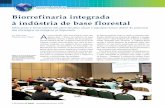 Biorrefinaria integrada à indústria de base florestal · aponta para o futuro da indústria de base florestal, ... e˚ ciência nos sistemas de logística e ... As raízes da Kemira
