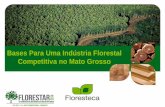 Bases Para Uma Indústria Florestal Competitiva no Mato Grosso · • Colheita / Transporte / Logística – Sistema de colheita e transporte que ... DA BASE FLORESTAL ATÉ O MERCADO