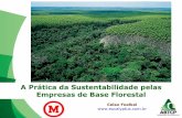 A Prática da Sustentabilidade pelas Empresas de Base Florestal rede... · Empresas de Base Florestal ... • Bem produzido por uma indústria com alta capacidade de renovação ambiental
