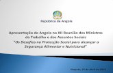 República de Angola - cplp.org Apresentação de Angola na XII Reunião dos Ministros do Trabalho e dos Assuntos Sociais “Os Desafios na Protecção Social para alcançar a Segurança