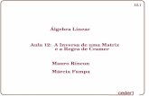 Álgebra Linear Aula 12: A Inversa de uma Matriz e a Regra ...dcc.ufrj.br/~rincon/Disciplinas/Algebra Linear/Aula_012.pdf · aspect,o importante em relaçño a Regra de Cramer é