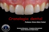 Cronologia dental - portaldoaluno.bdodonto.com.brportaldoaluno.bdodonto.com.br/atualiza/portalaluno/aulas/crono... · estrutura dental humana. Tanto o desenvolvimento, morfologia,