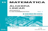 Exercícios Estatística Aplicada – Vol. 2 Estatística ... · manuel alberto m. ferreira Álgebra linear volume 1 matrizes e determinantes exercÍcios ediÇÕes sÍlabo