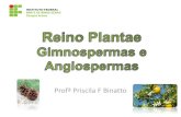 Profª Priscila F Binatto§ões filogenéticas Algas verdes (grupo externo) Briófitas Pteridófitas Gimnospermas Angiospermas Gametângios revestidos por células estéreis Embrião