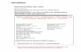 Instruções de Uso - anvisa.gov.br11100-1-2].pdf · • Bobinas de MR • Painéis eletrônicos • Sistema de computação • Consoles operacionais • Sistema de intercomunicador