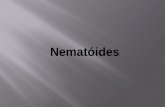 Desenvolvimento de marcadores microssatélites para a ... · Nematóides Introdução • Nematoda – (do Grego: nema = fio) – são os vermes redondos • Classificações existentes