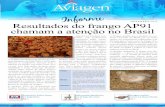 DEZEMBRO/2012 Resultados do frango AP91 chamam a …en.aviagen.com/assets/Uploads/Informe-Aviagen-Portugus-Dezembro... · mento de aves, recebeu apoio da Aviagen, empresa líder mundial