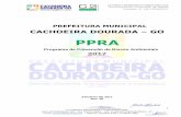 PPRA - cachoeiradourada.go.gov.brcachoeiradourada.go.gov.br/portal/wp-content/uploads/2017/09/PPRA... · e cumpridos. Exigir cópia do PCMAT (Programa Condições e Meio Ambiente
