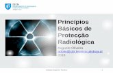 Princípios Básicos de Protecção Radiológicaprojects.itn.pt/Formacao_Radiografia-Industrial/24 Novembro/ADOLIV1... · Sumário • O risco radiológico – Sinalizações –
