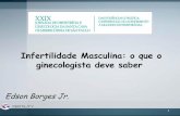Infertilidade Masculina: o que o ginecologista deve saberfertility.com.br/wp-content/uploads/2015/03/Santa-Casa-2015.pdf · Espermograma com morfologia estrita (OMS 2010) Processamento