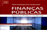  · Teoria e Prática no Brasil ... A Dinâmica da Dívida Pública e o Caso Brasileiro 217 ... A descentralização no contexto regional latino-americano