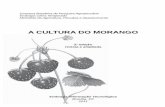 A CULTURA DO MORANGO - Livraria Embrapalivraria.sct.embrapa.br/liv_resumos/pdf/00062580.pdf9 Introdução O morangueiro (Fragaria x ananassa Duch.) é uma planta pertencente à família