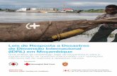 Leis de Resposta a Desastres de Dimensão Internacional ... in Mozambique... · Cenários sobre desastres naturais e doenças transmissíveis em Moçambique 19 Capítulo 3 Políticas