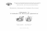 (Módulo 7) Unidades de Reacção Químicasistemas.eel.usp.br/docentes/arquivos/5817066/93/modulo07.pdf · pacote de propriedades térmicas essencialmente ideal como o de Antoine