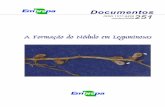 A Formação do Nódulo em Leguminosas - Principal ...ainfo.cnptia.embrapa.br/digital/bitstream/CNPAB-2010/35749/1/doc... · nas raízes das leguminosas, outros carboidratos bem como