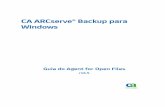 CA ARCserve® Backup para Windows ARCserve Backup r16 5-PTB... · A presente documentação, que inclui os sistemas de ajuda incorporados e os materiais distribuídos eletronicamente