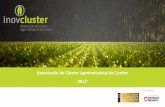 Apresentação do PowerPoint - InovCluster · associação do cluster agroindustrial do centro associaÇÃo privada sem fins lucrativos constituÍda em 2009 estabelece uma plataforma