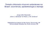 Tomato chlorosis virus em solanáceas no Brasil: ocorrência ... · MG ES RJ GO SP PR SC ... Viradouro 8% 11% 10% 24% Saturno ... Russet x S. chacoense 2,5 3,5 47 Baraka SVP 50-358