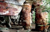 32 CIÊNCIAHOJE | VOL. 50 | 297 · animais pré-históricos – é um mundo inteiro por investigar. ... Os grafismos pintados e gravados sobre superfícies rochosas, que a arqueologia