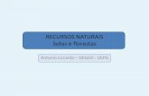 RECURSOS NATURAIS Solos e florestas - geoturismobrasil.com didatico/solos e florestas.pdf · sobre o qual ocorrerá a ... fazer com que a legislação ambiental seja cumprida, ...