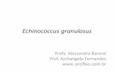 Echinococcus granulosus - profbio.com.br · –Colo curto –Estróbilo formado por 3 a 4 proglotes: •Uma ou duas proglotes jovens ... –Indistinguíveis de outras “tenias”