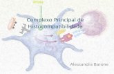 Complexo Principal de Histocompatibilidade - profbio.com.br · MHC •Complexo principal de histocompatibilidade (MHC) ou antígeno leucocitário humano (HLA) –Conjunto de proteínas