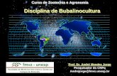 Disciplina de BubalinoculturaDisciplina de Bubalinocultura · Pode ser criado em qualquer clima e região de 0 oCa 45 oC. ... Curiosidades sobre o BÚFALO: ... AMÉRICA DO SUL: Brasil