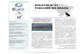 PROGRAMA NACIONAL DE MONITORAMENTO DO PINGUIM … Pinguins no Brasil 1-2011.pdf · o conhecimento sobre o pinguim-de- Magalhães no Brasil e otimizar os ... curiosidades, eventos
