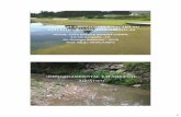 NOÇÕES DE LIMNOLOGIA APLICADA AO ESTUDO DE …cuencas.fcien.edu.uy/cursos/materiales/curso-udelar-3.pdf · os tratamentos de água bruta, o que pode agravar seus efeitos crônicos.