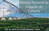 Manejo Racional da Irrigação do Cafeeiro - sapc.embrapa.br · BAMBU . 24 . Investimento???? Aquisição e manutenção por 15 anos de um projeto de irrigação por gotejo em café: