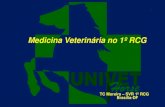 Medicina Veterinária no 1º RCG · •Animais elevavam o poder de combate. • Necessidade de mntção da saúde dos animais: ... 1972 – extinção SV do EB 1972-1992 Só antigos