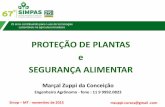 PROTEÇÃO DE PLANTAS e SEGURANÇA ALIMENTARsimpas.org.br/assets/arquivos/DIA3_PN5_PAL3-SegurancaAlimentar... · ambientais, o bem-estar dos animais, a agricultura sustentável e