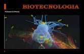 A biotecnologia é um processo tecnológico que permite a ...profiva.dominiotemporario.com/doc/Genetica9.pdf · A biotecnologia é um processo tecnológico que permite a utilização